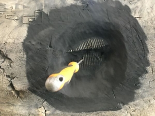 2020-11-10-11.54.03-scaled-600×450 2020 11 10 11.54.03 Scaled 600x450